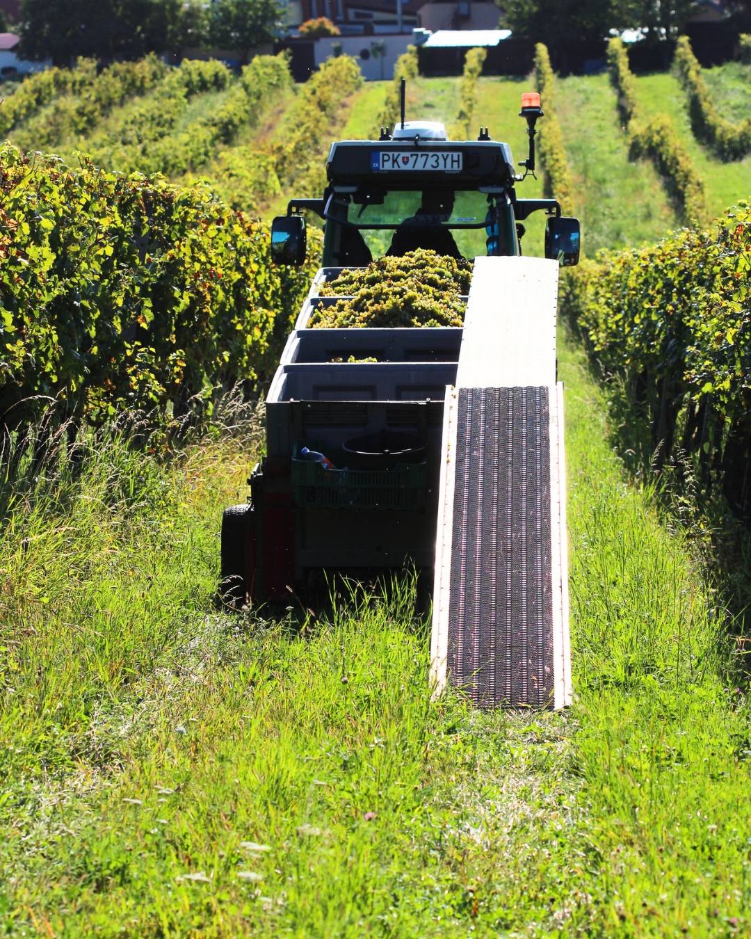 548339533_1375309354600624_3326922125661151329_n