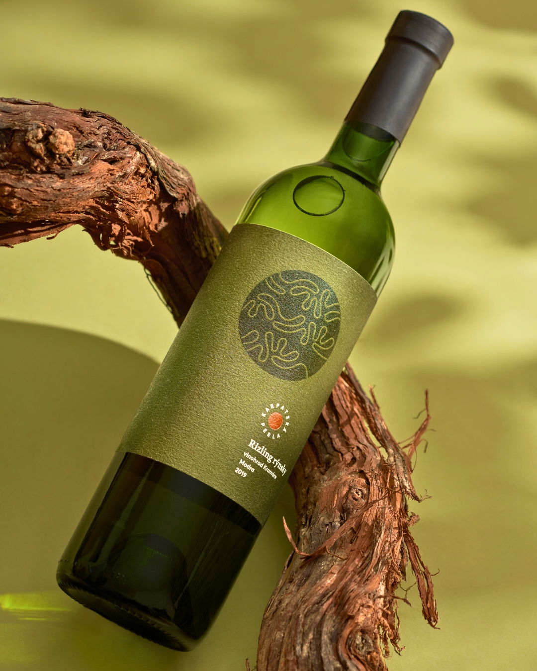 570113516_1408620671269492_8365242219118586371_n