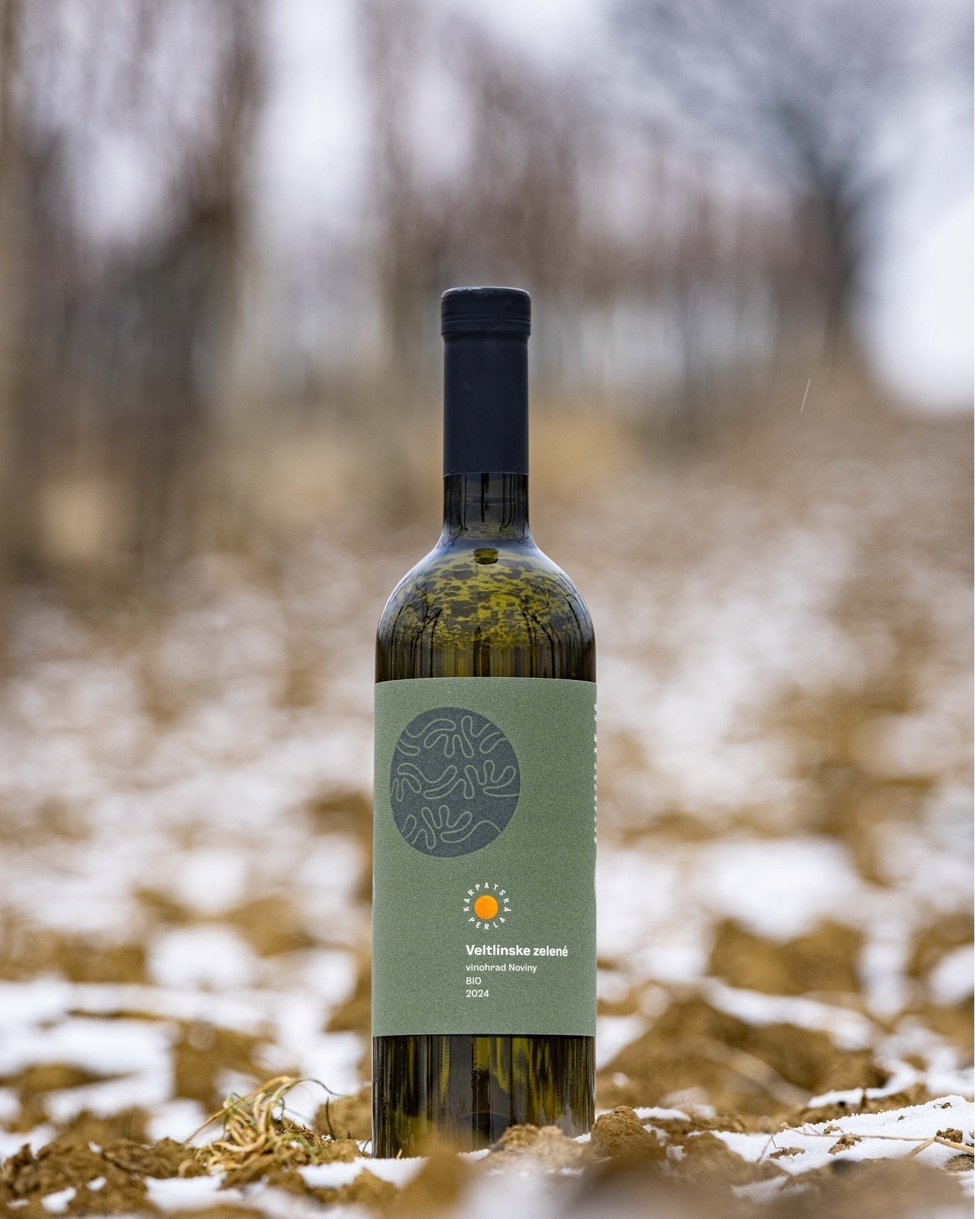 615964168_1486962126768679_2700845236771098414_n