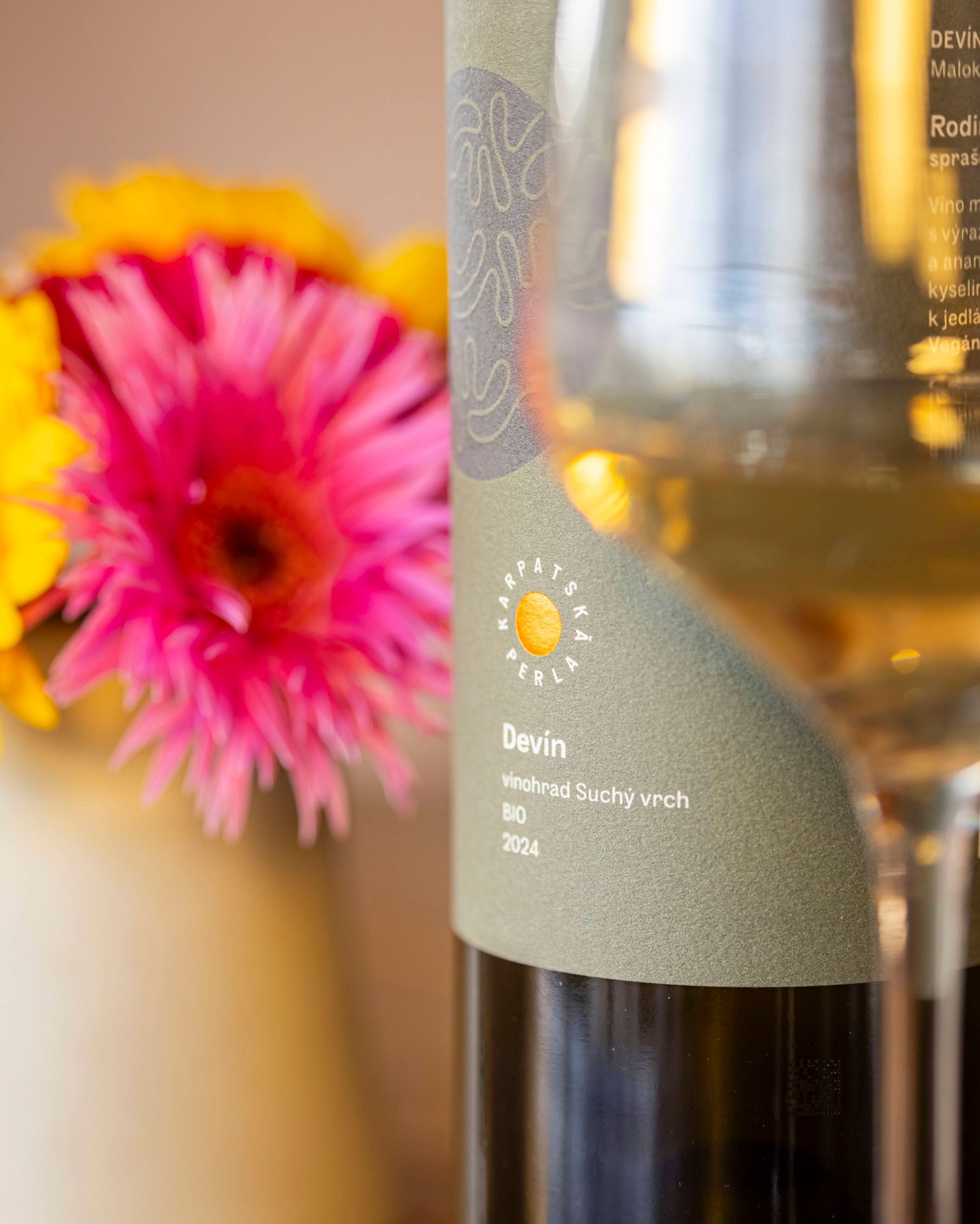 646869185_1528579979273560_8996702282501014841_n